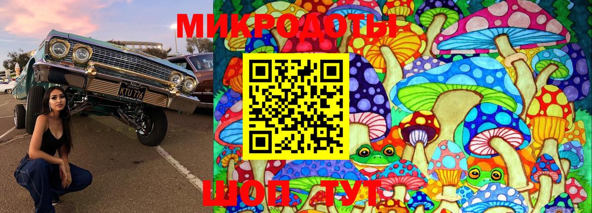 Ртищево  Псилоцибиновые грибы прущие грибы  Вход с VPN 
