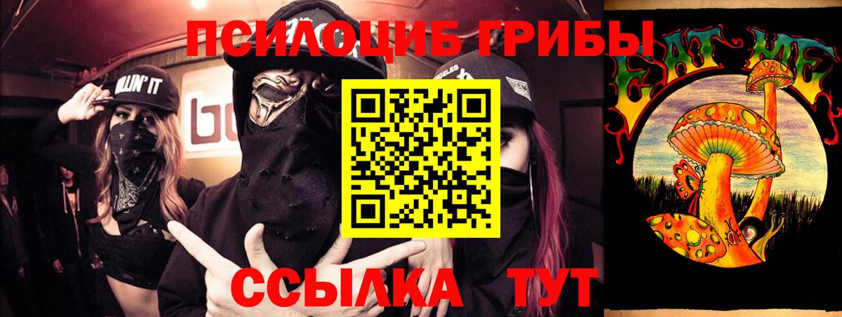 Псилоцибиновые грибы Magic Shrooms Ртищево